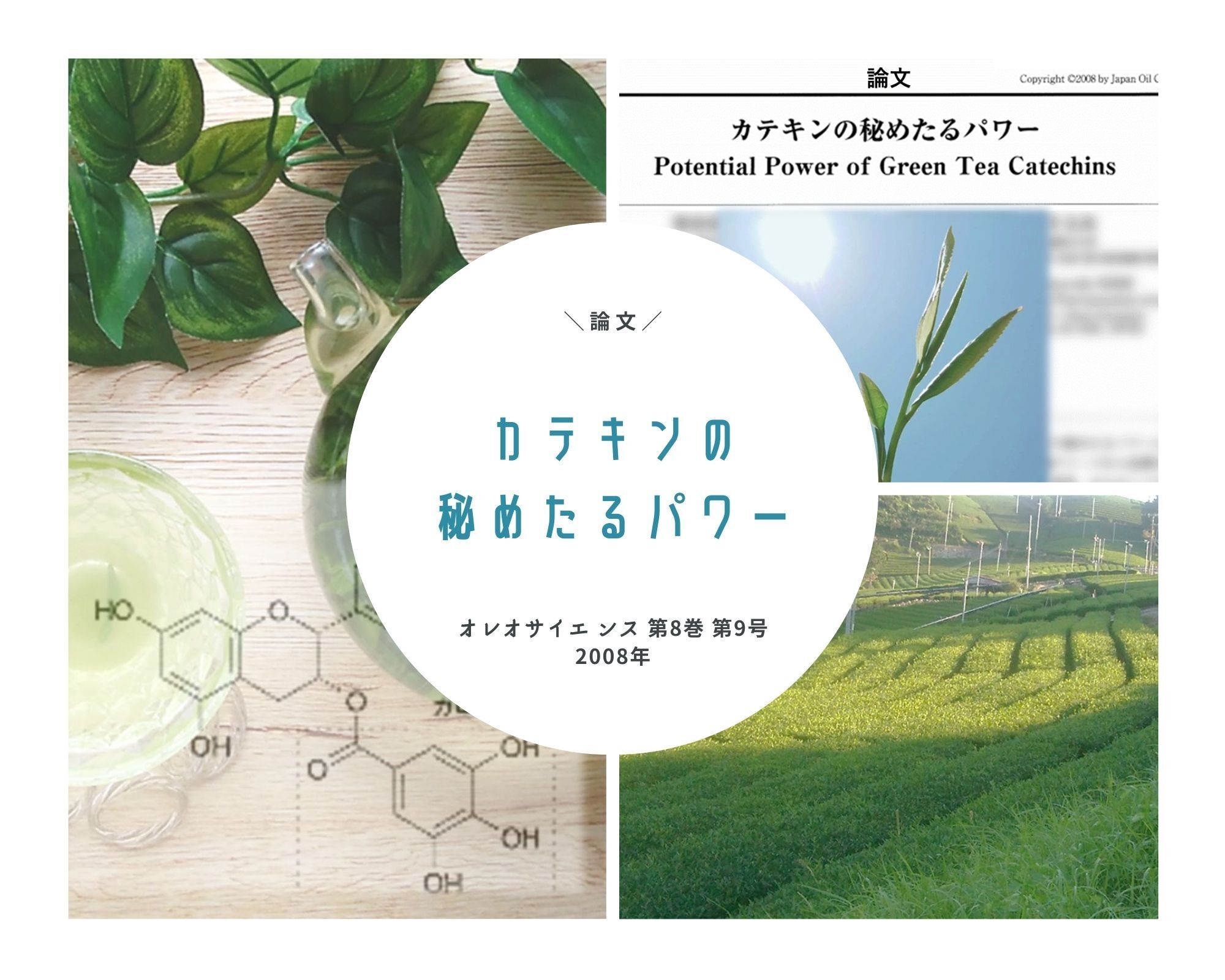 緑茶エキス入り化粧水】こだわりの植物由来配合、うるおい保つ！癒しの