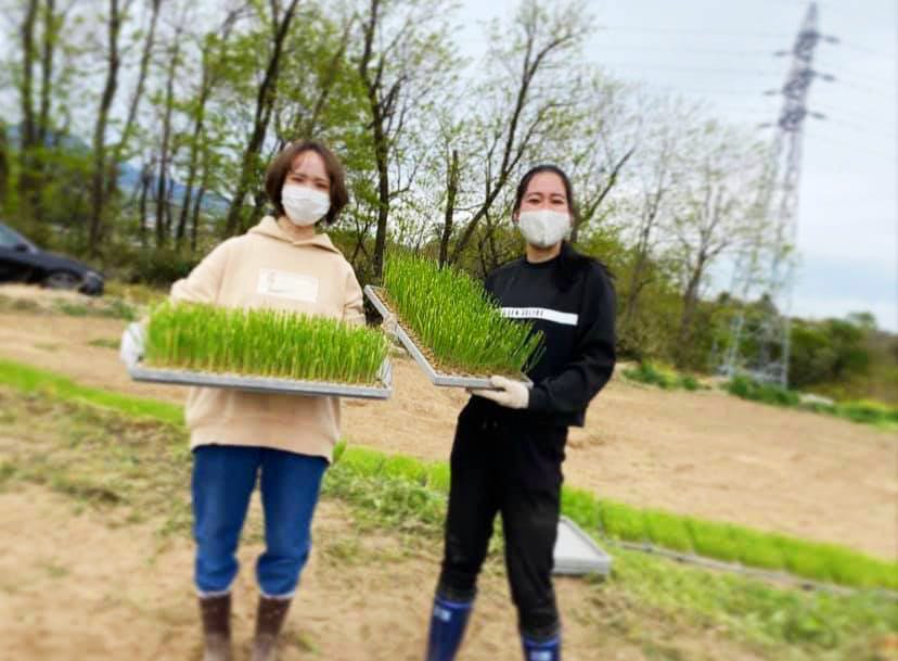 あの元k 1ファイターが農家に挑戦 地元 郡馬県の耕作放棄地を再生したい Campfire キャンプファイヤー あの元k 1ファイターが農家に挑戦 地元 郡馬県の耕作放棄地を再生したい Campfire キャンプファイヤー