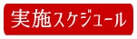 実施スケジュール