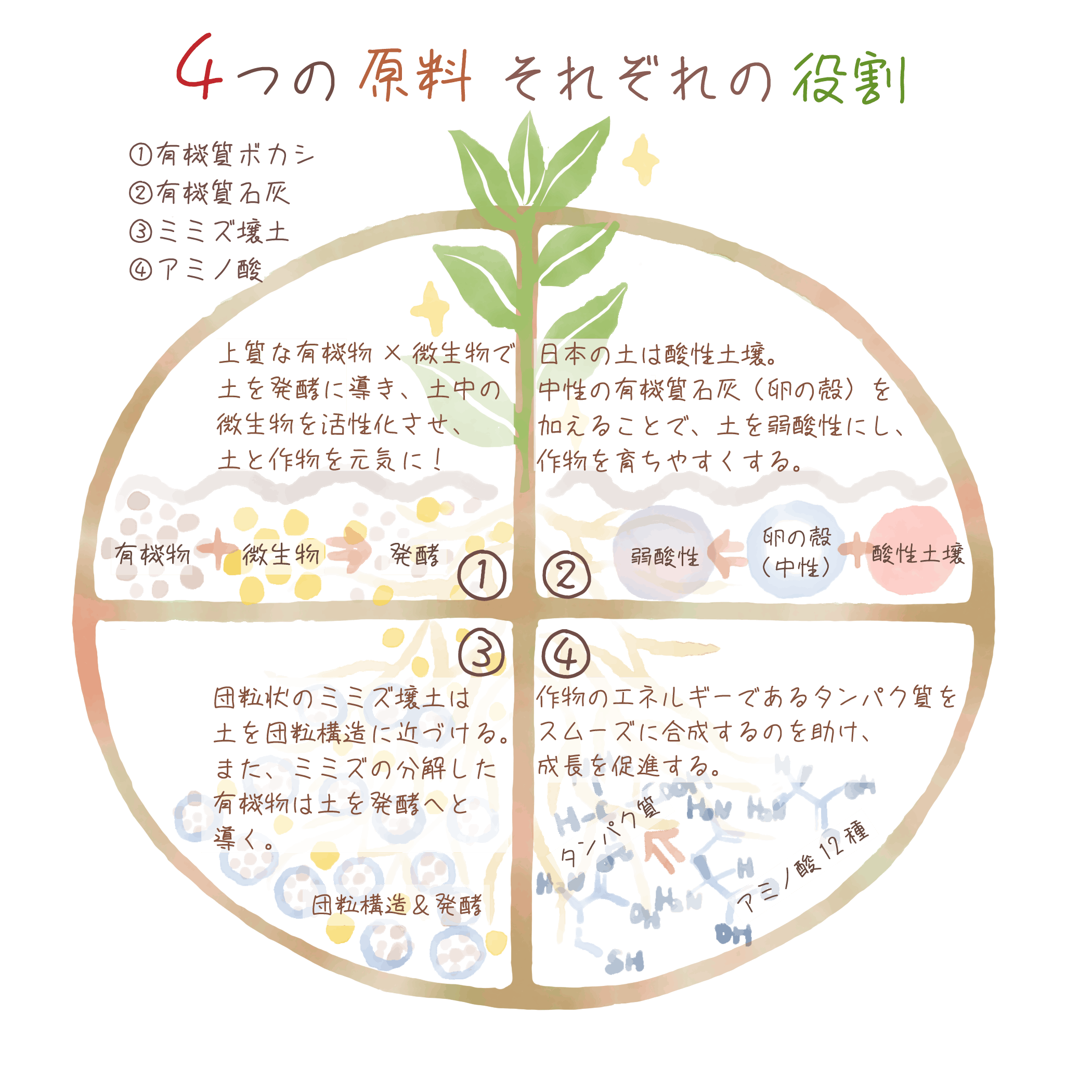 Sdgs 硝酸性窒素の少ない 環境に優しい肥料で育てた美味しい青果物を広めたい Campfire キャンプファイヤー Sdgs 硝酸性窒素の少ない 環境に優しい肥料で育てた美味しい青果物を広めたい Campfire キャンプファイヤー