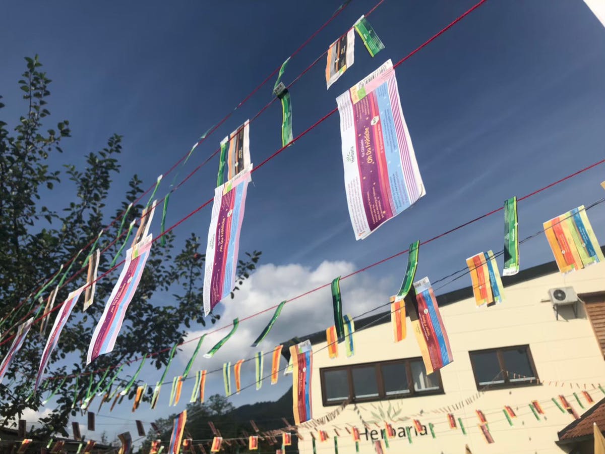 ドイツで100年続くこだわりのオーガニックスパイスでおうち時間を楽しもう Campfire キャンプファイヤー ドイツで100年続くこだわりのオーガニックスパイスでおうち時間を楽しもう Campfire キャンプファイヤー