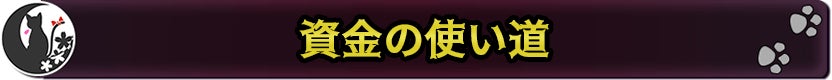 資金の使い道