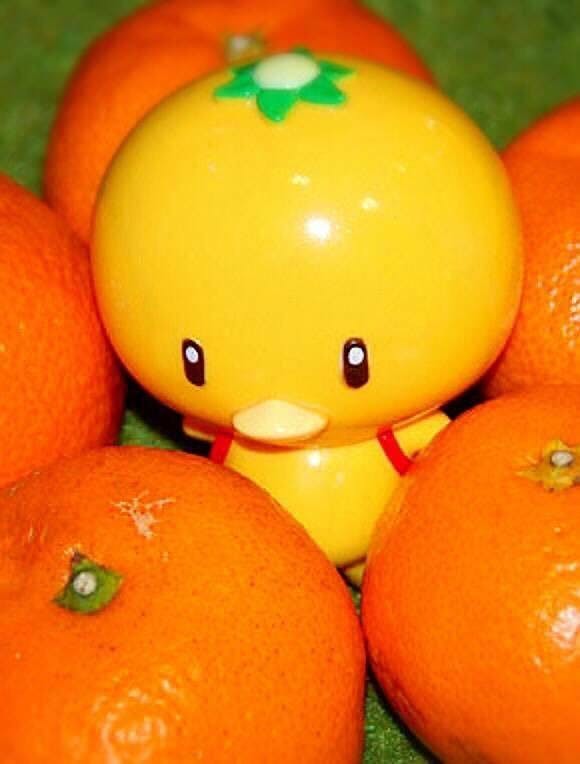 みかんかっぱ プラモデル化計画 Campfire キャンプファイヤー みかんかっぱ プラモデル化計画 Campfire キャンプファイヤー