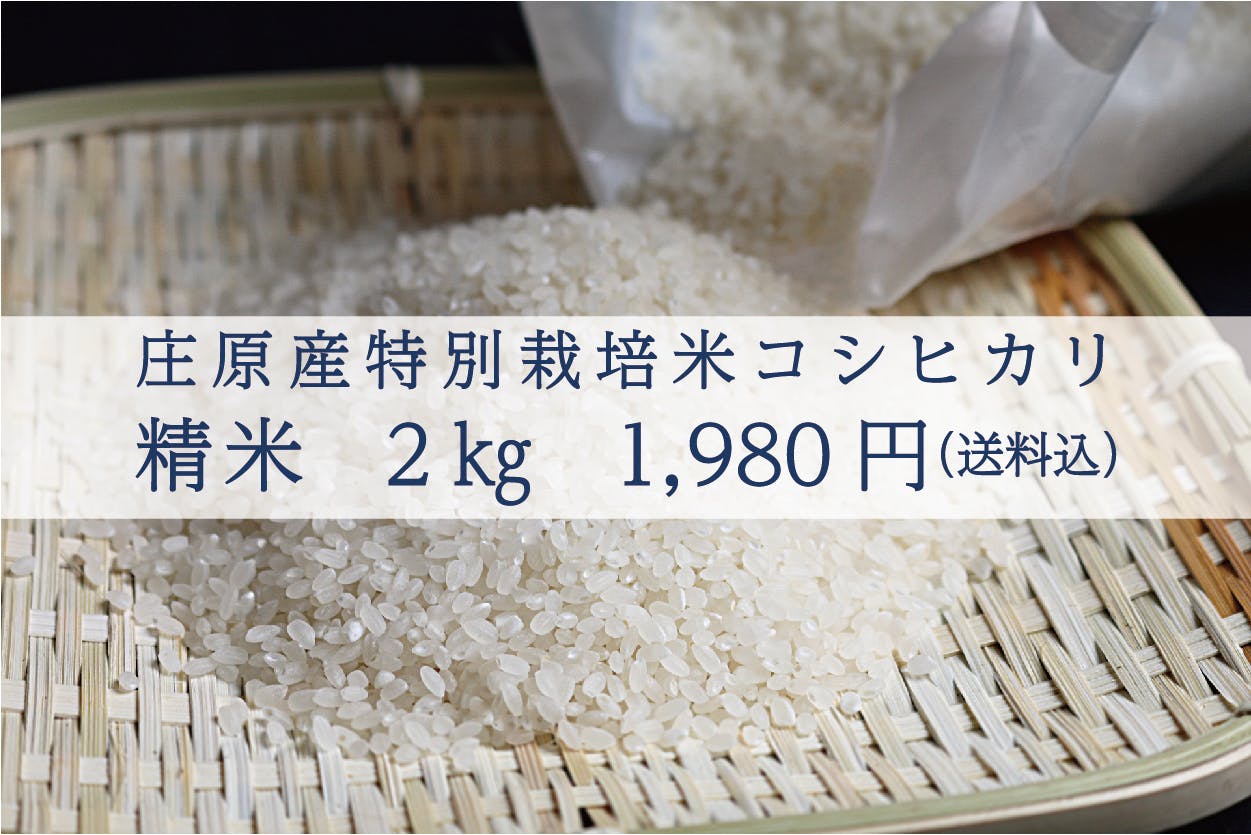 高品質の激安 令和4年度産 玄米 あきさかり 20Kg