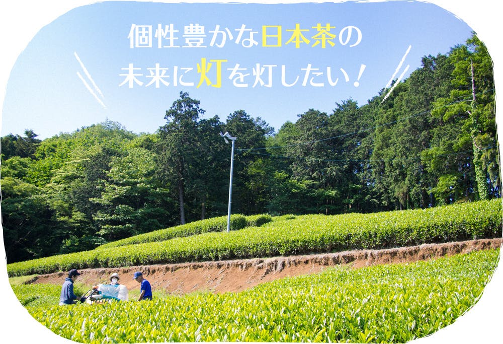 江戸から続くお茶農家発 本格狭山茶と天然由来成分で作る緑茶風呂入浴剤を広めたい Campfire キャンプファイヤー