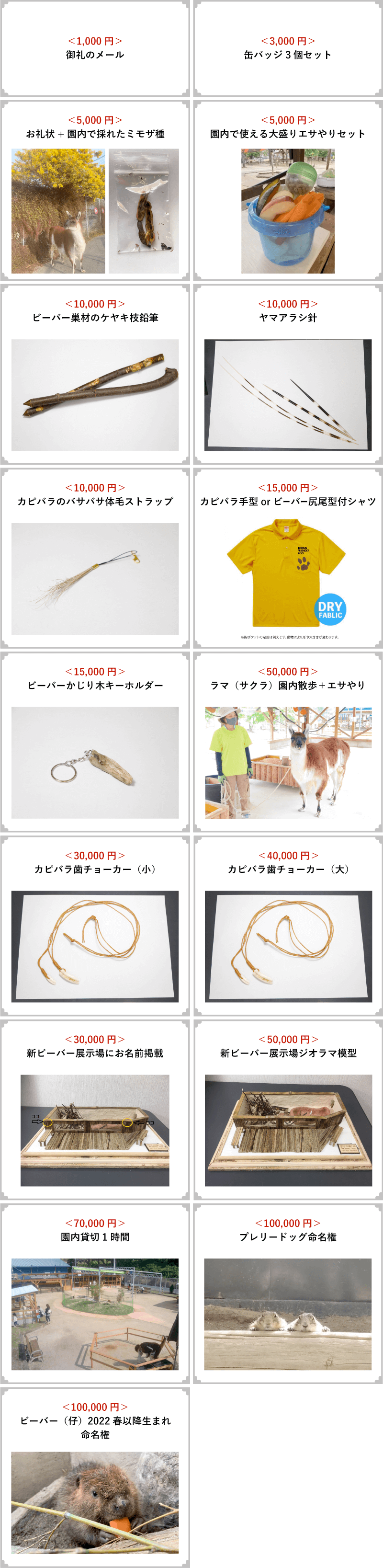森の天才建築家 ビーバー家族の楽しみを増やして ビーバーの聖地を目指す Campfire キャンプファイヤー 森の天才建築家 ビーバー家族の楽しみを増やして ビーバーの聖地を目指す Campfire キャンプファイヤー