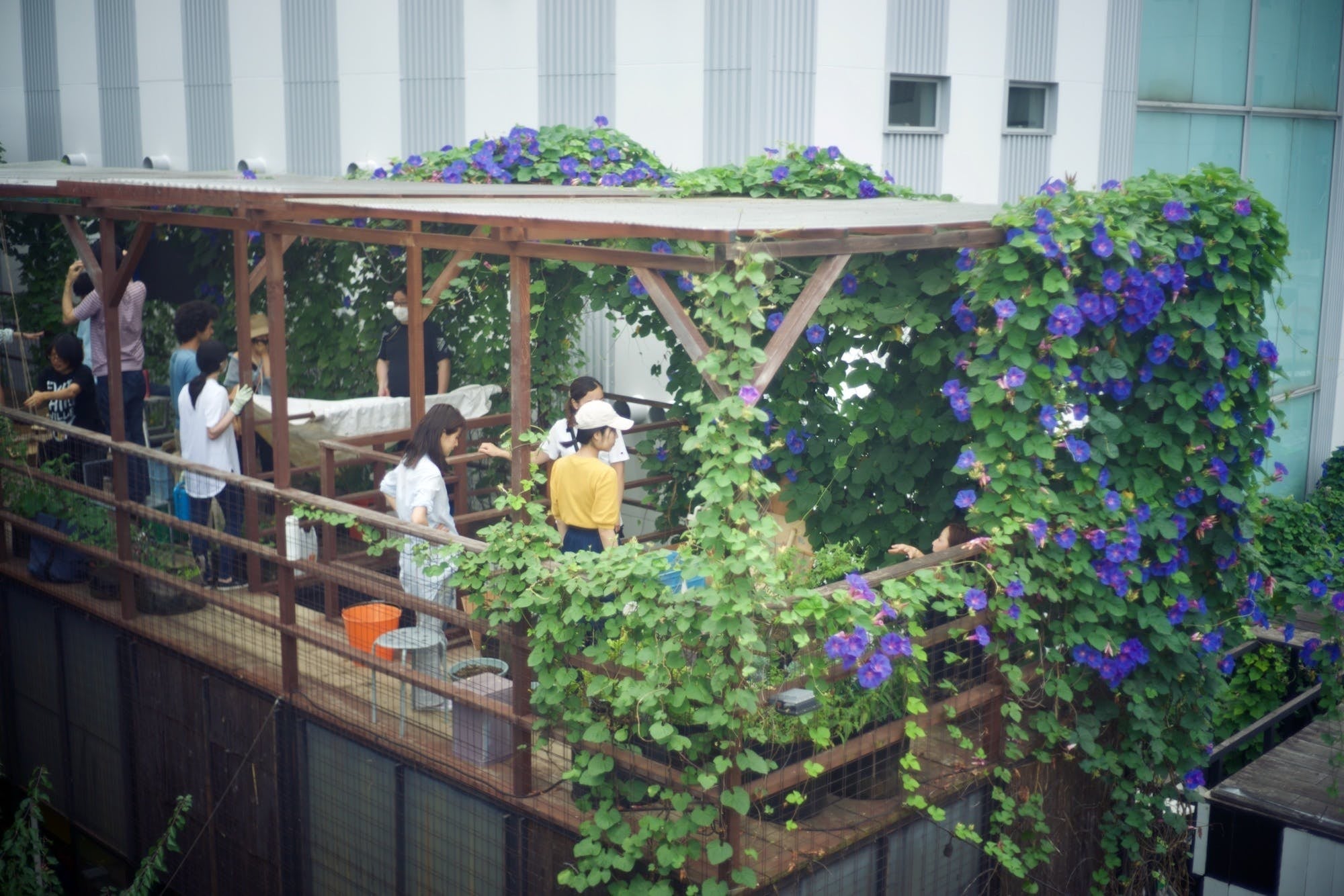 91200C37-1AEA-40F6-80B2-513506ED627D.jpeg
