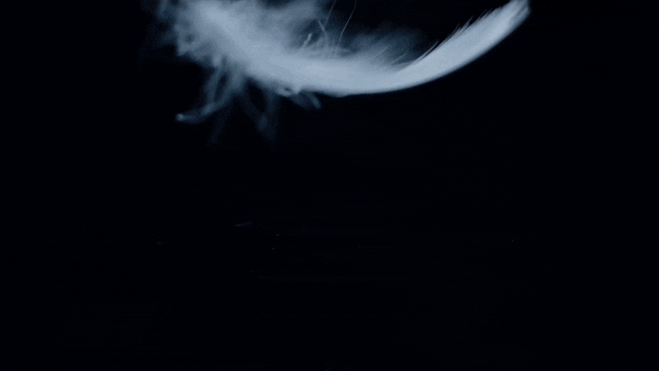 あなただけのカスタマイズレシピが作れる Hoto Digi Scale Campfire キャンプファイヤー あなただけのカスタマイズレシピが作れる Hoto Digi Scale Campfire キャンプファイヤー