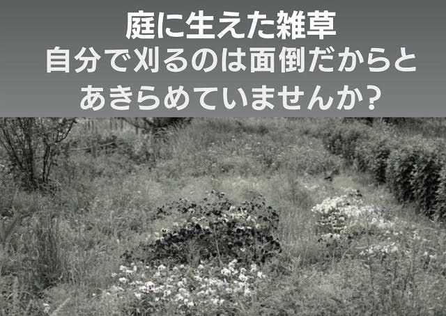 アメリカ発 雑草スキッジャー 鋭く突き出たv字ブレードがキレを生み除草力向上 Campfire キャンプファイヤー アメリカ発 雑草スキッジャー 鋭く突き出たv字ブレードがキレを生み除草力向上 Campfire キャンプファイヤー