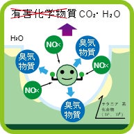 コーティング被膜内の分解メカニズム