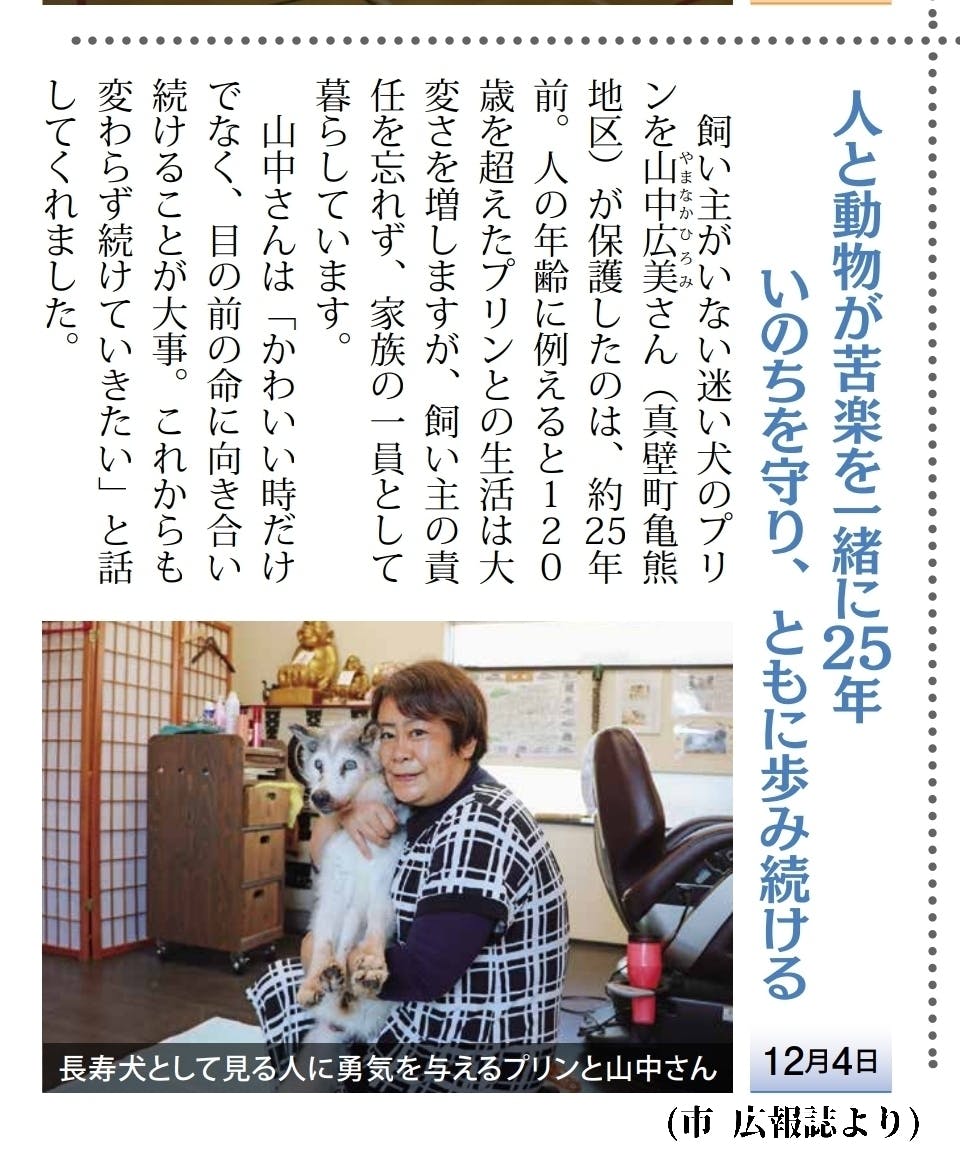 28歳まで生きた長寿犬 プリンの石像を作りたい Campfire キャンプファイヤー 28歳まで生きた長寿犬 プリンの石像を作りたい Campfire キャンプファイヤー