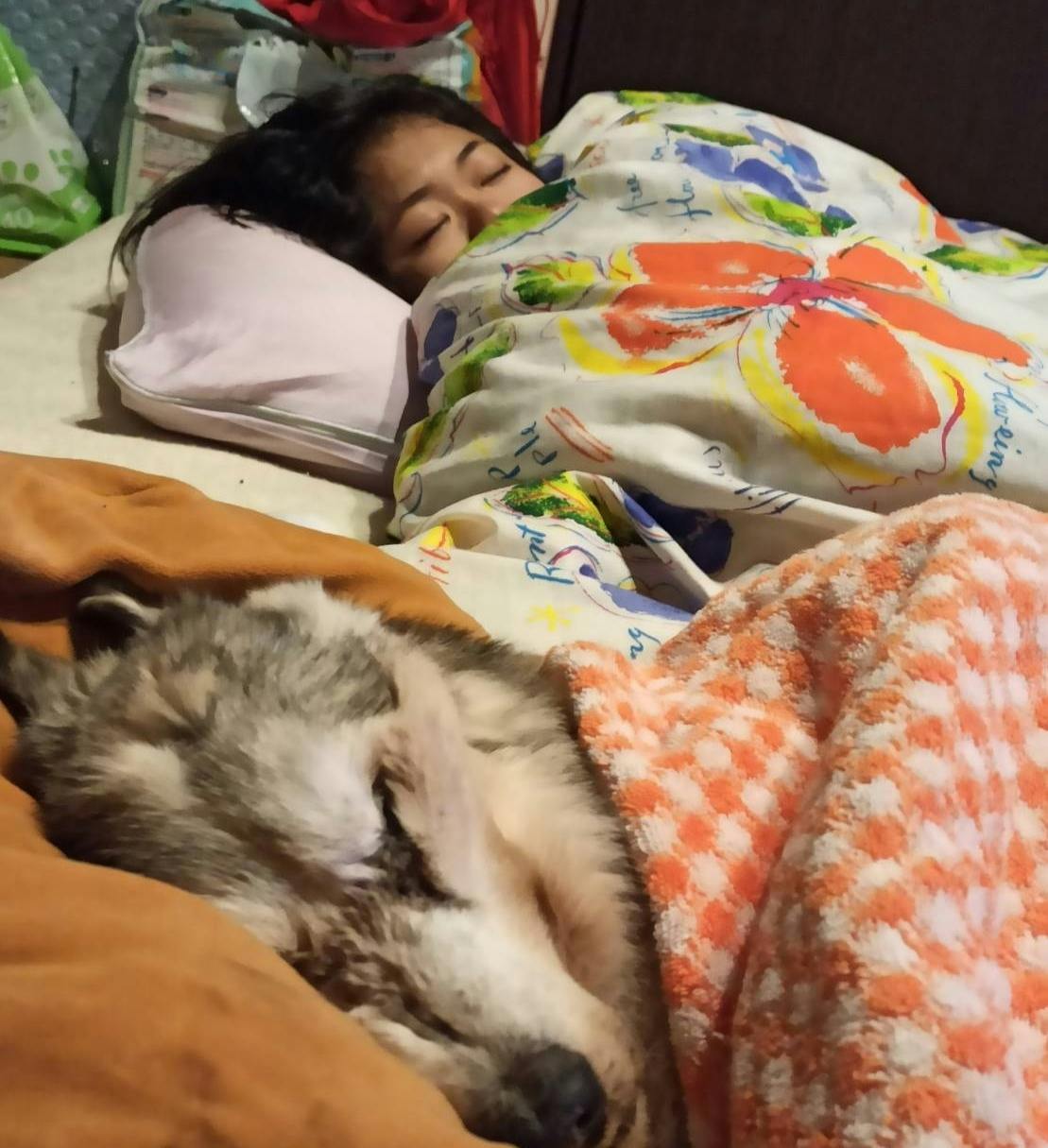 28歳まで生きた長寿犬 プリンの石像を作りたい Campfire キャンプファイヤー 28歳まで生きた長寿犬 プリンの石像を作りたい Campfire キャンプファイヤー