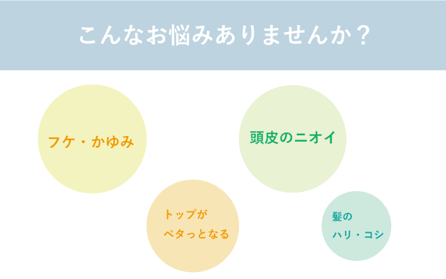 頭皮整え すこやかな美髪へ 有効成分配合 Somi薬用スカルプケアシャンプー Campfire キャンプファイヤー 頭皮整え すこやかな美髪へ 有効成分配合 Somi薬用スカルプケアシャンプー Campfire キャンプファイヤー