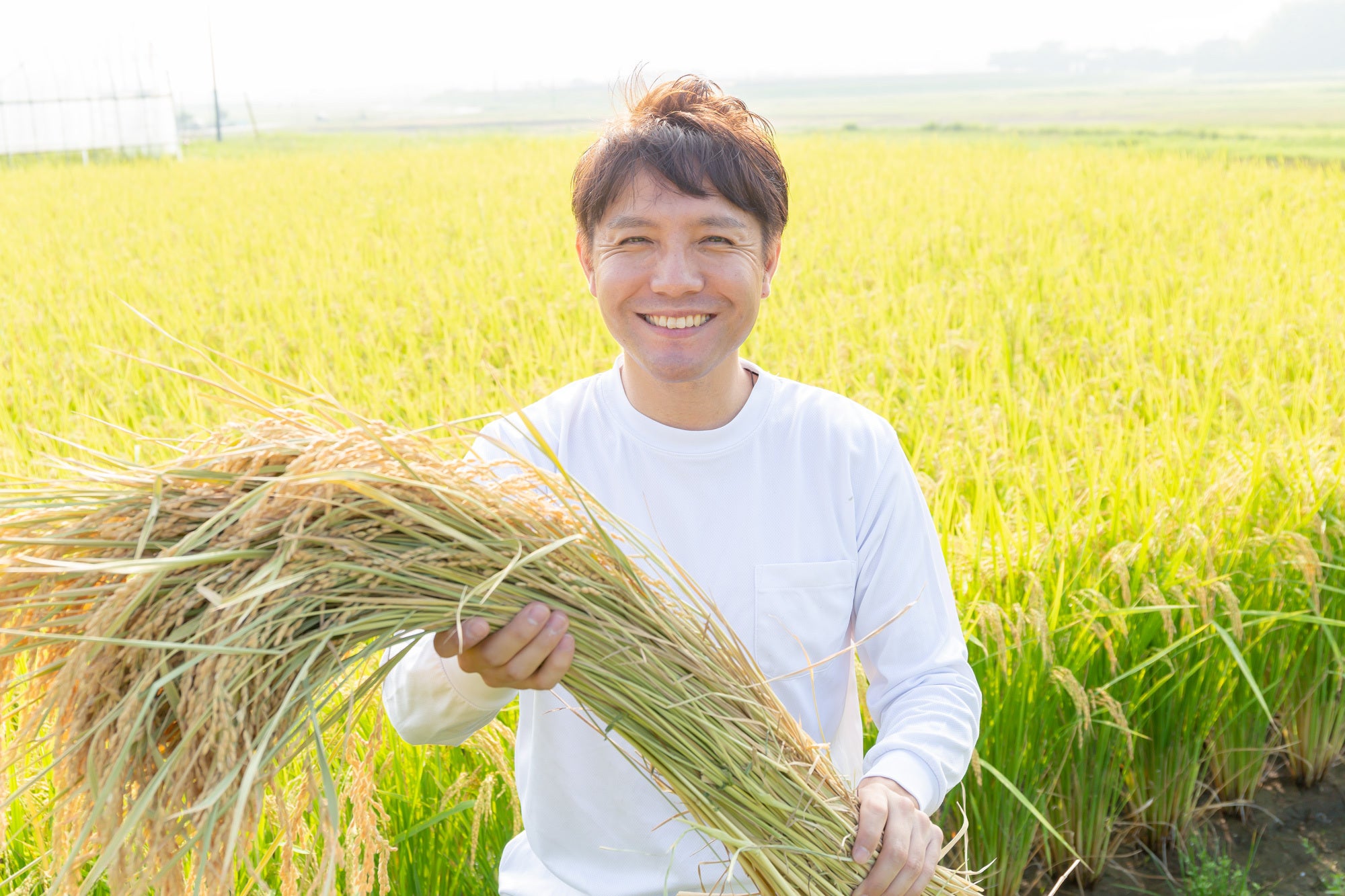 日本の農家を守り オーガニックのお米を日本のスタンダードにしたい Campfire キャンプファイヤー 日本の農家を守り オーガニックのお米を日本のスタンダードにしたい Campfire キャンプファイヤー