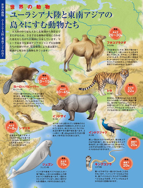 こどもの 知りたい を育てる 知の森絵本 動物の寿命 増刷プロジェクト Campfire キャンプファイヤー こどもの 知りたい を育てる 知の森絵本 動物の寿命 増刷プロジェクト Campfire キャンプファイヤー