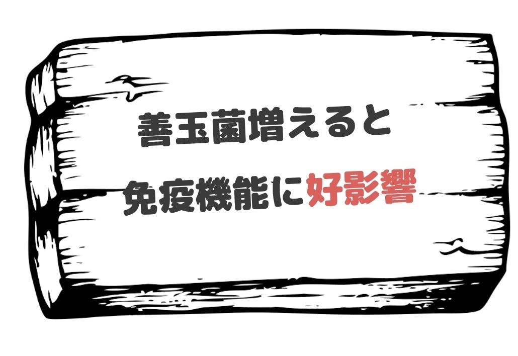 皮膚病に苦しむ動物を減らしたい【獣医皮膚科専門医のFINAL ANSWER