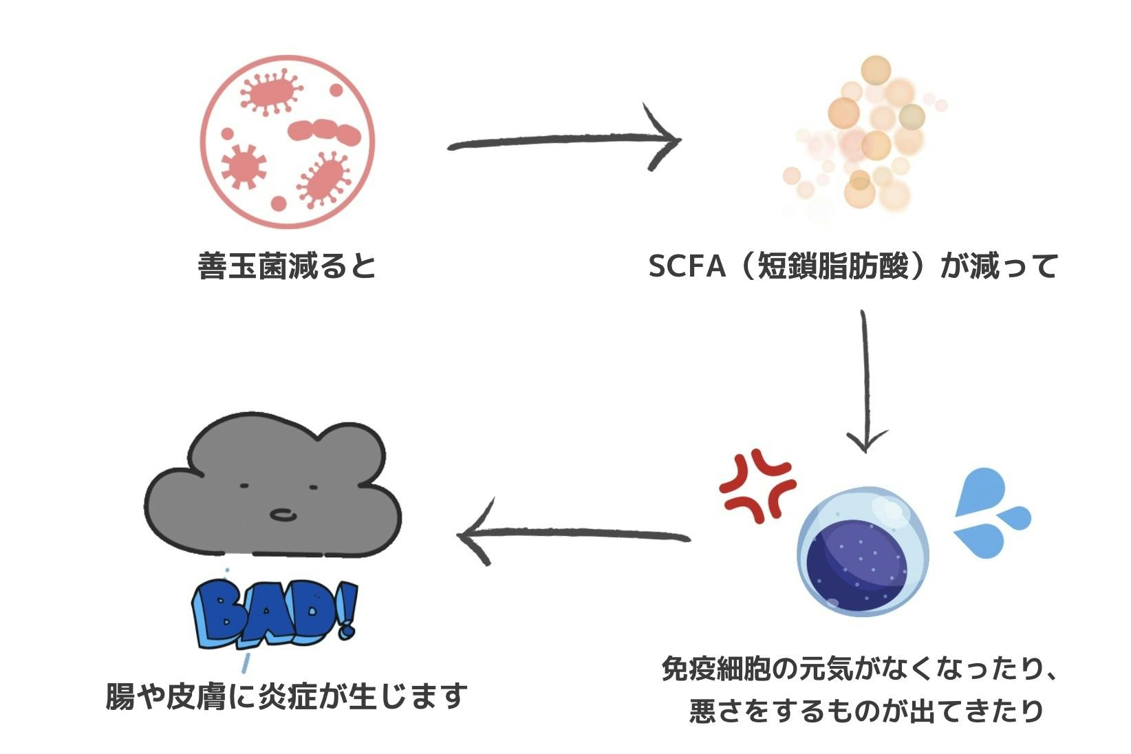 皮膚病に苦しむ動物を減らしたい【獣医皮膚科専門医のFINAL ANSWER