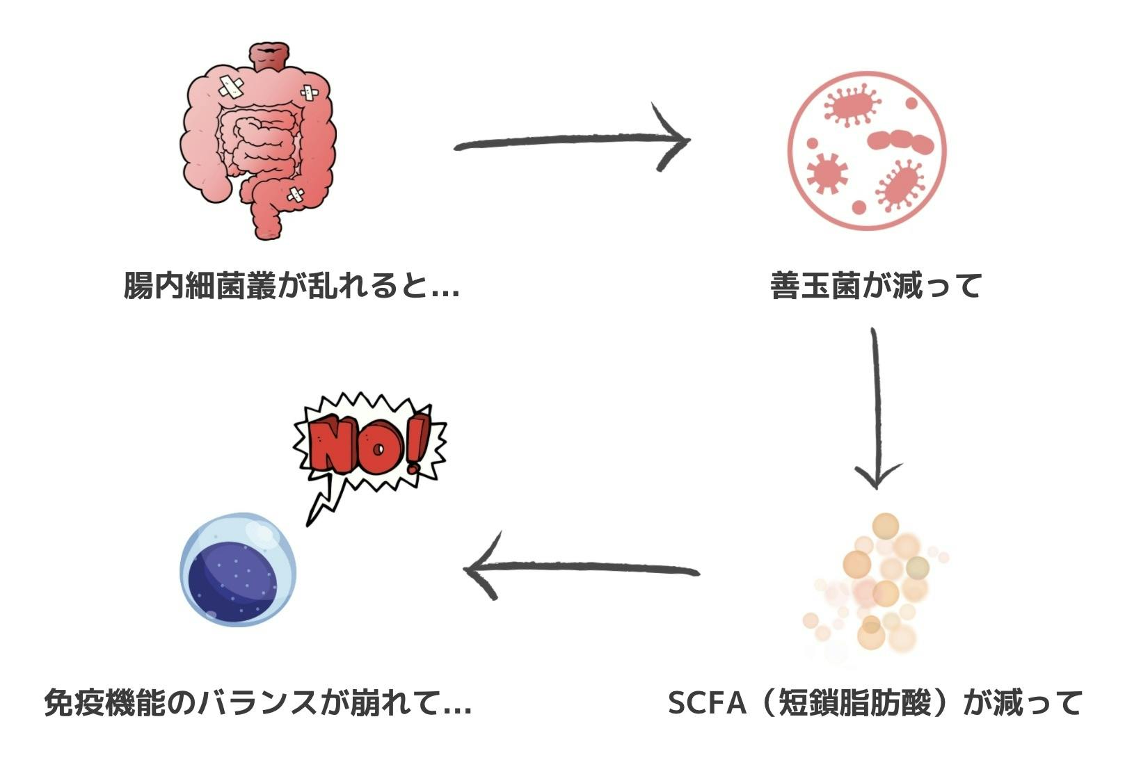 皮膚病に苦しむ動物を減らしたい【獣医皮膚科専門医のFINAL ANSWER