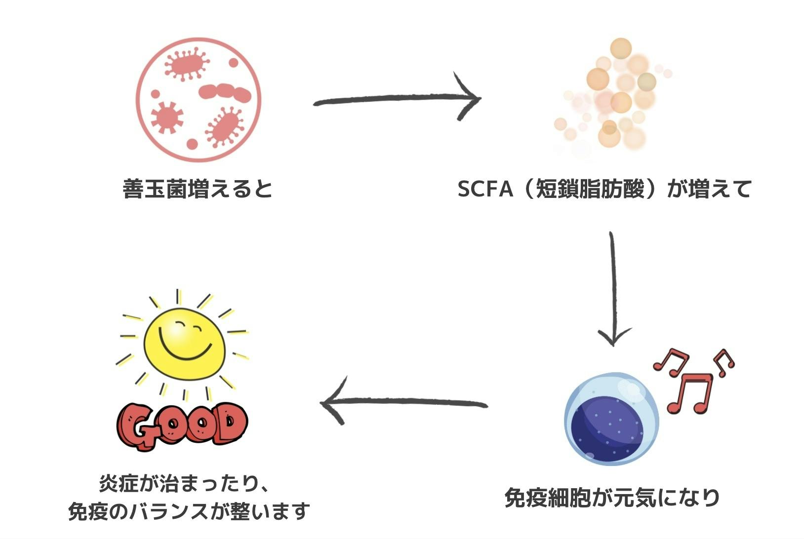 皮膚病に苦しむ動物を減らしたい【獣医皮膚科専門医のFINAL ANSWER