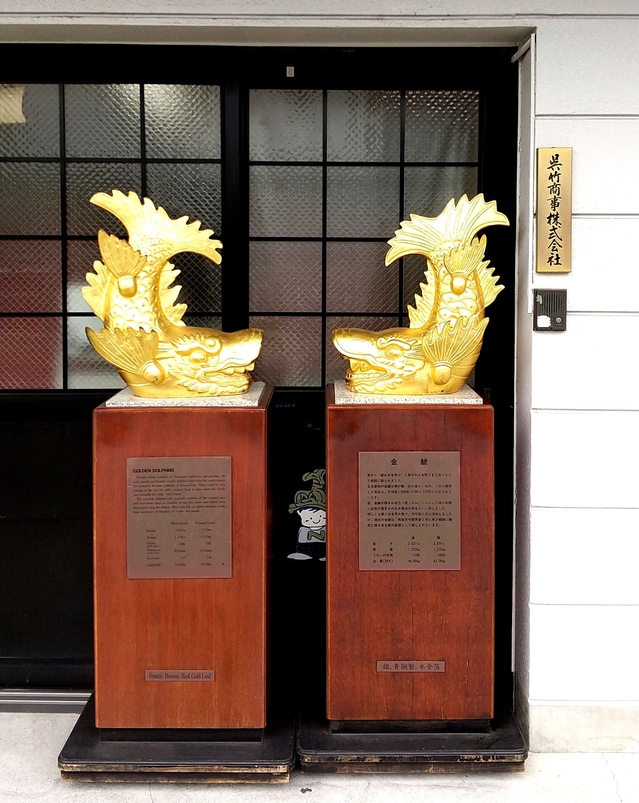 名古屋限定 金鯱ゴールドトランプ プロジェクト 】 - CAMPFIRE