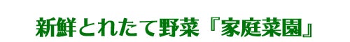 家庭菜園［キャンプ場づくり］