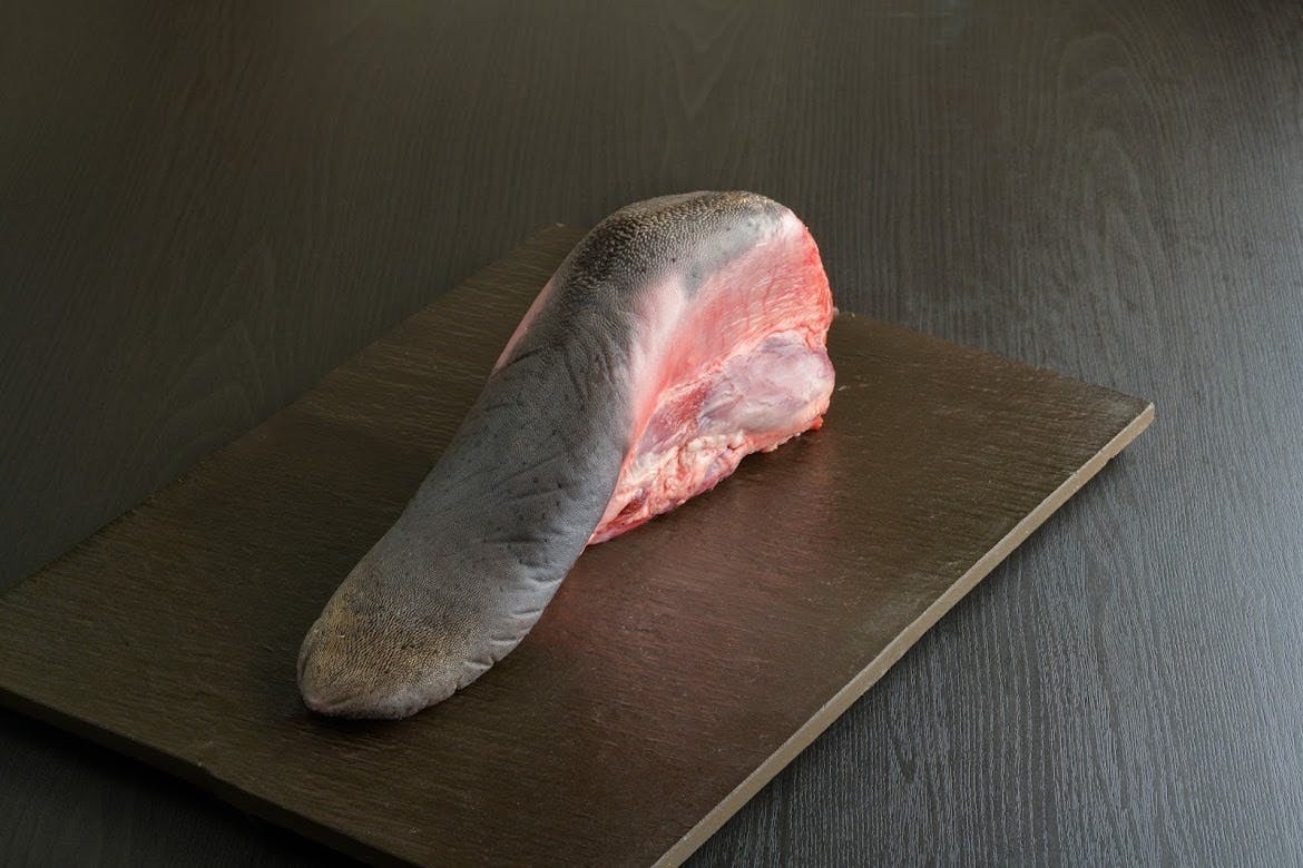 本物の牛タンをご家庭に 国産牛タン焼きセット Campfire キャンプファイヤー 本物の牛タンをご家庭に 国産牛タン焼きセット Campfire キャンプファイヤー