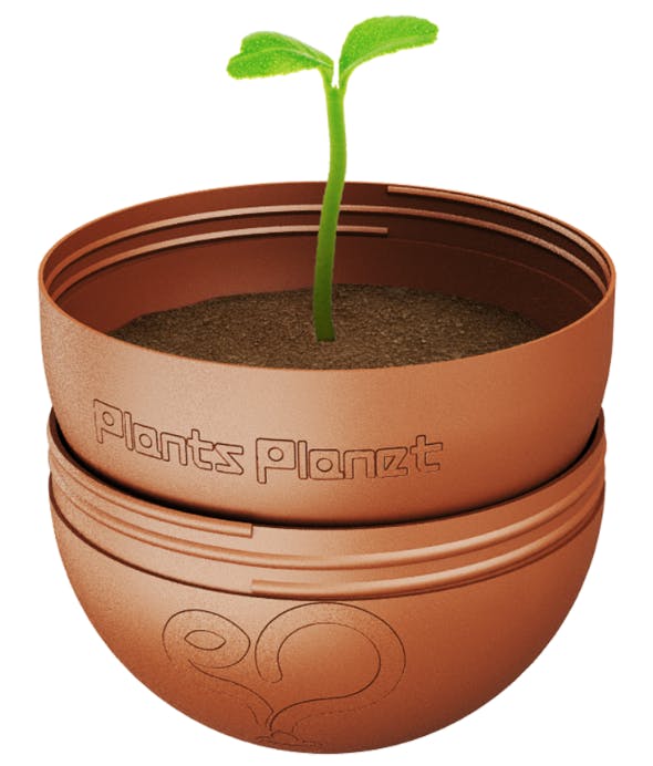 宇宙初 土に還るカプセル プランツプラネット B版 Campfire先行販売 Campfire キャンプファイヤー 宇宙初 土に還るカプセル プランツプラネット B版 Campfire先行販売 Campfire キャンプファイヤー