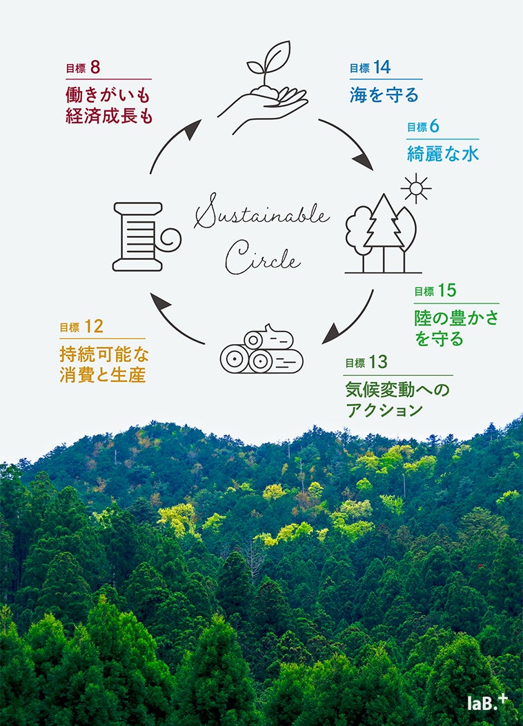 間伐材からできた木布 モクフ で環境保全の連鎖を Campfire キャンプファイヤー 間伐材からできた木布 モクフ で環境保全の連鎖を Campfire キャンプファイヤー