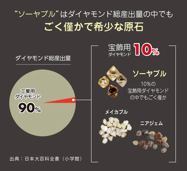鑑定士気分を味わう新スタイル 幻の ダイヤモンドの原石 を手に入れる Campfire キャンプファイヤー 鑑定士気分を味わう新スタイル 幻の ダイヤモンドの原石 を手に入れる Campfire キャンプファイヤー