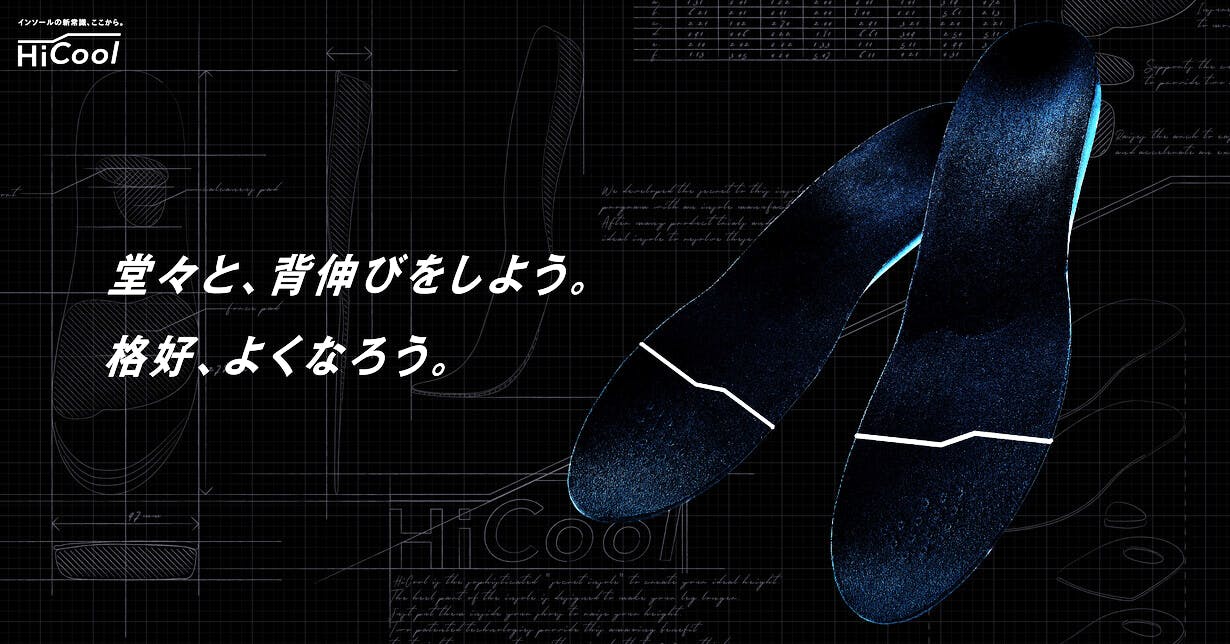 在庫処分】HiCool INSOLE【公式】 シークレットインソール 世界特許-