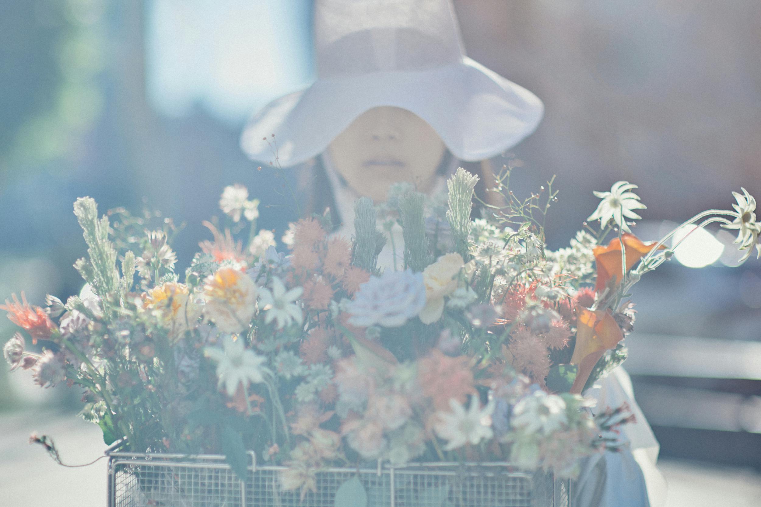 Little Venders Left Arrive 現在の花売り娘 Campfire キャンプファイヤー Little Venders Left Arrive 現在の花売り娘 Campfire キャンプファイヤー