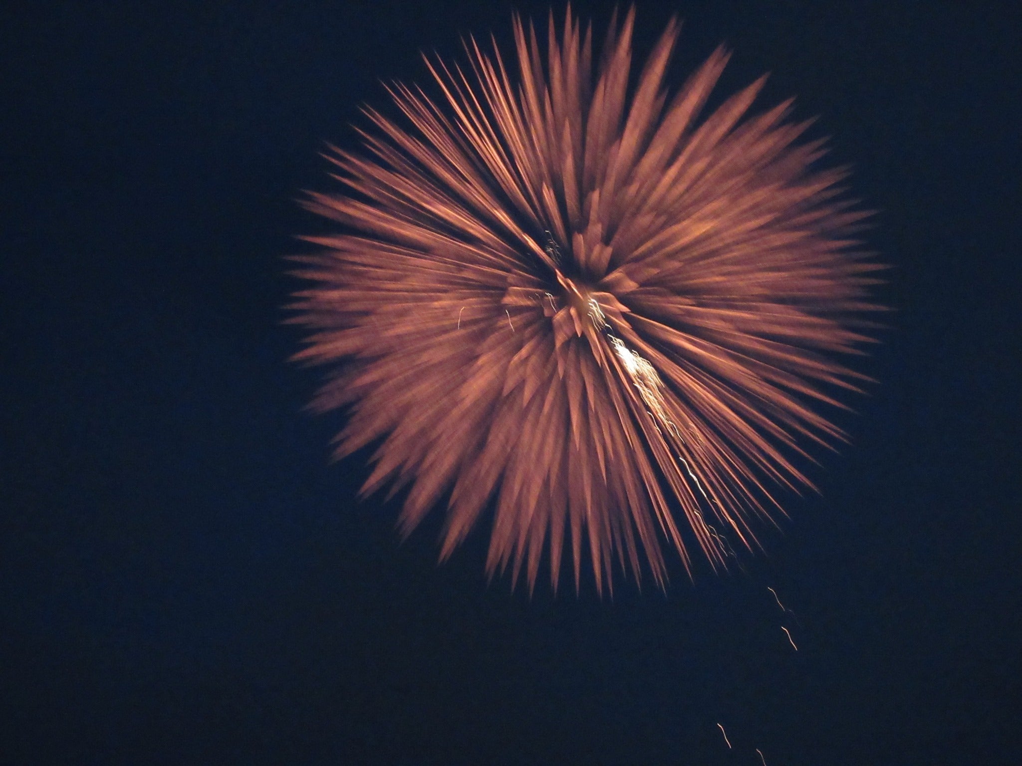 千秋花火プレゼンツ ドライブイン花火 シアター Campfire キャンプファイヤー 千秋花火プレゼンツ ドライブイン花火 シアター Campfire キャンプファイヤー