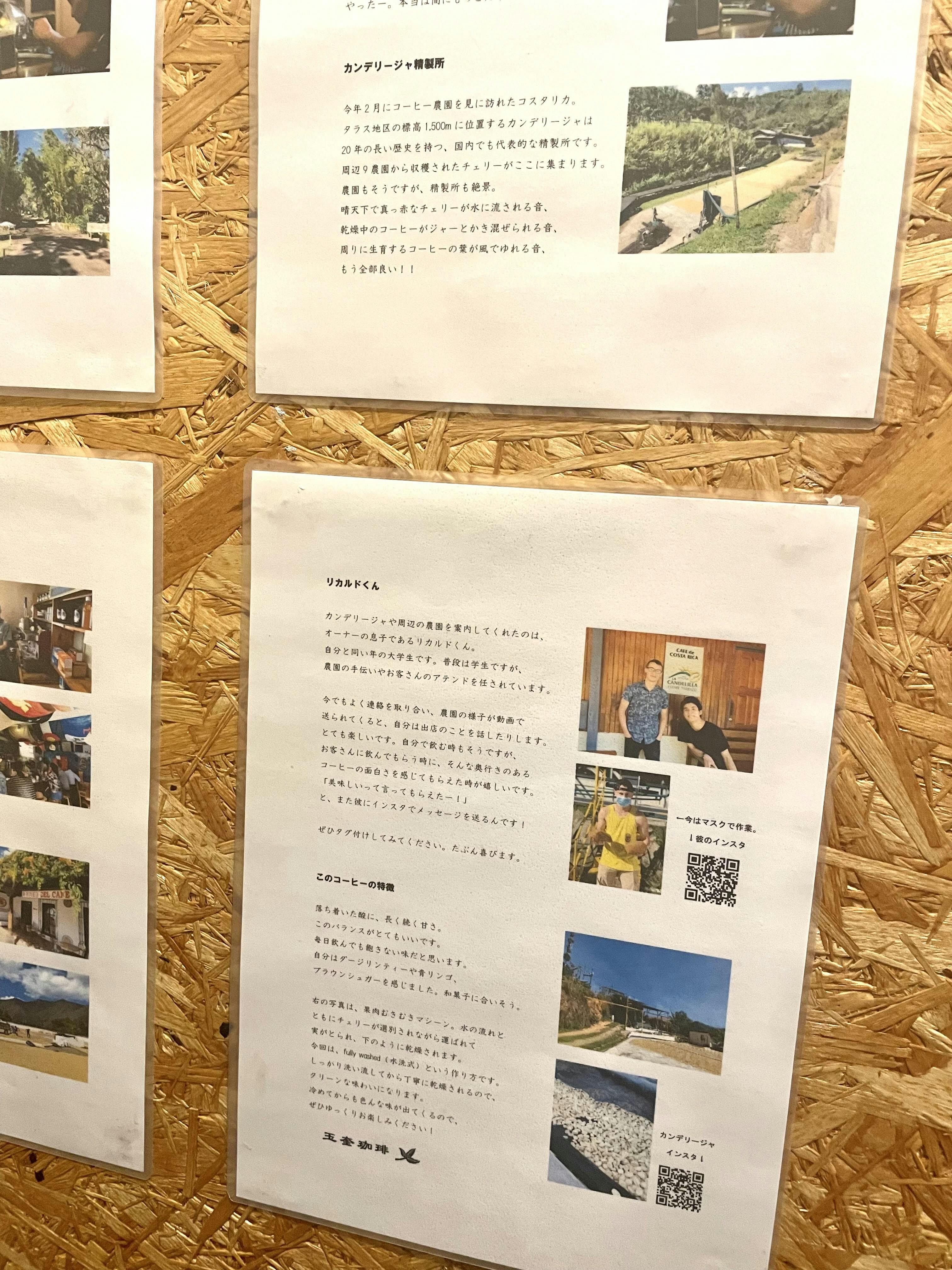 国境をこえた友だちとつくりあげた新世代のコスタリカコーヒーをみんなと楽しみたい Campfire キャンプファイヤー