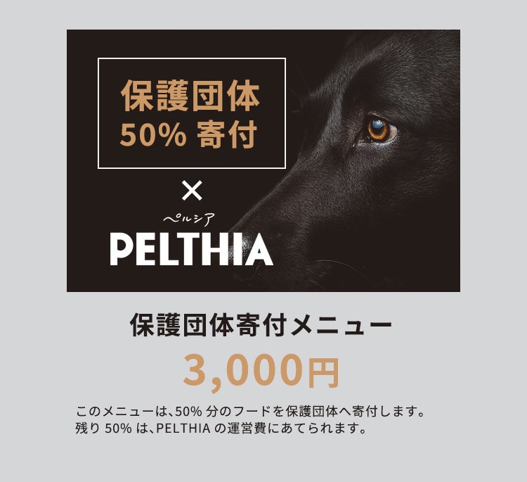 国際薬膳調理師が手掛けた不可能を可能にしたドッグフードがCAMPFIREに