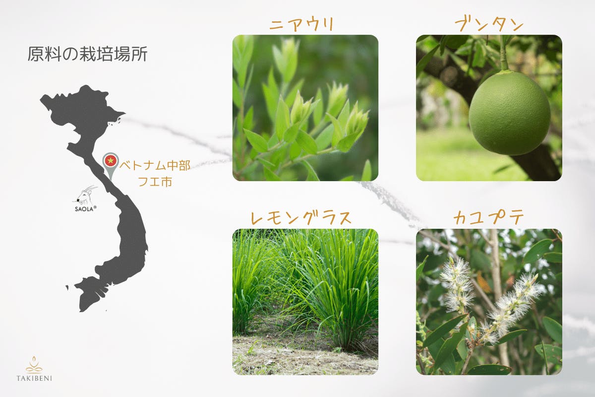 初ベトナムのエッセンシャルオイルを日本に届けて 絶滅危惧動物のサオラを救いたい Campfire キャンプファイヤー