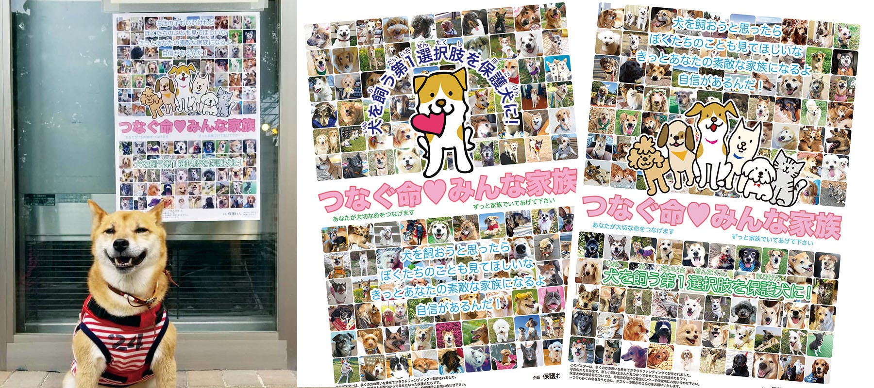 殺処分ゼロ 命をつなぐ保護犬ポスターを全国の学校に掲示する活動を 継続したい Campfire キャンプファイヤー 殺処分ゼロ 命をつなぐ保護犬ポスターを全国の学校に掲示する活動を 継続したい Campfire キャンプファイヤー