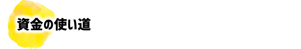 資金の使い道