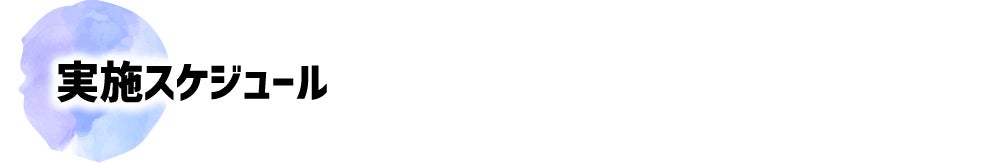 実施スケジュール