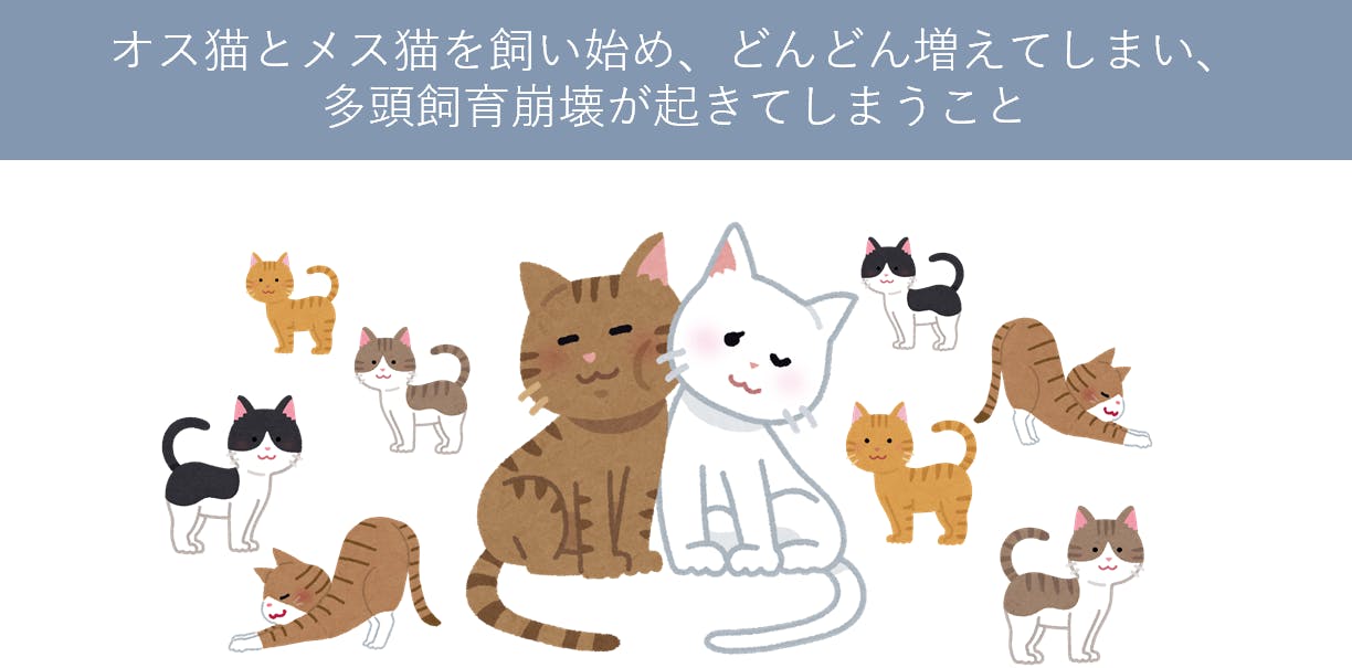 ねこまえプロジェクト】猫と暮らす前に読む絵本を子供たちに届けたい 