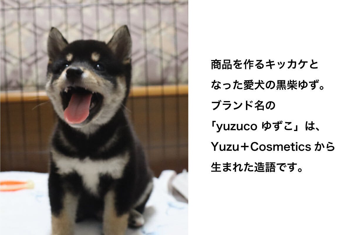 犬好きのあなたへ 犬好きが考える理想のハンドクリームを作りました Campfire キャンプファイヤー 犬好きのあなたへ 犬好きが考える理想のハンドクリームを作りました Campfire キャンプファイヤー