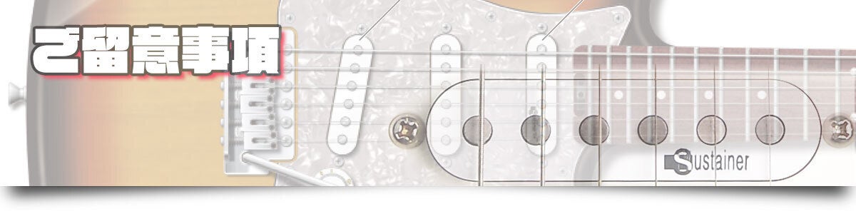 FERNANDES SUSTAINER」（エレキギター用弦振動持続装置） - CAMPFIRE