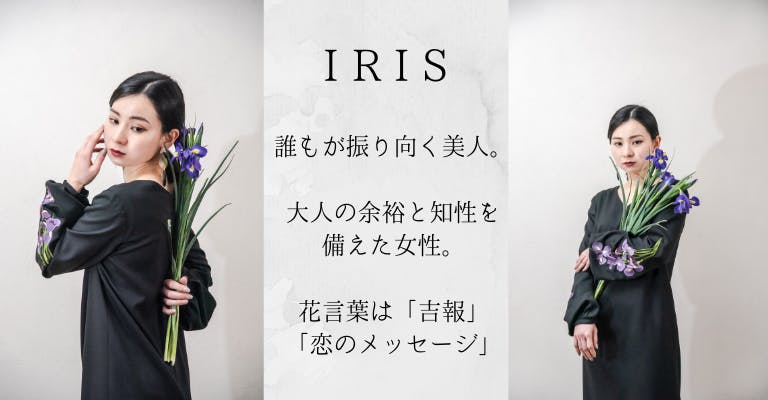 iCONOLOGY_IRIS