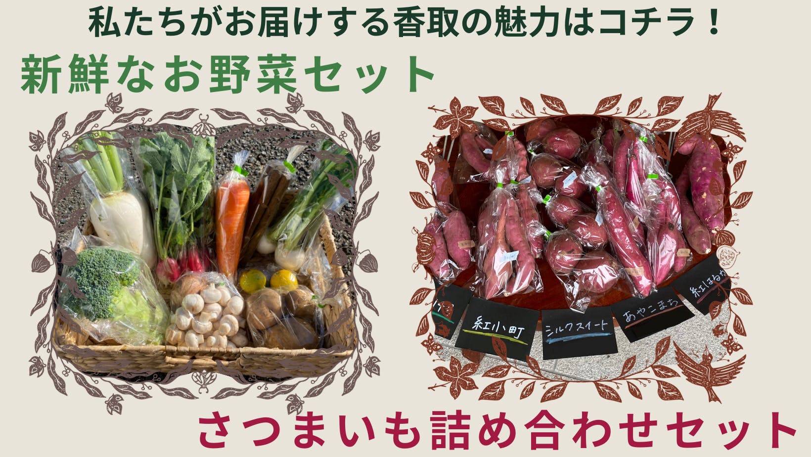 耕作放棄地 高校生 香取の野菜を全国にお届け Campfire キャンプファイヤー