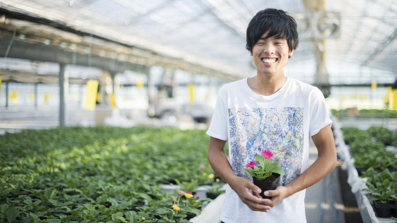 コロナで35年続くガーベラ農園が存続の危機 30歳3代目と家族の人生をかけた挑戦 Campfire キャンプファイヤー コロナで35年続くガーベラ農園が存続の危機 30歳3代目と家族の人生をかけた挑戦 Campfire キャンプファイヤー