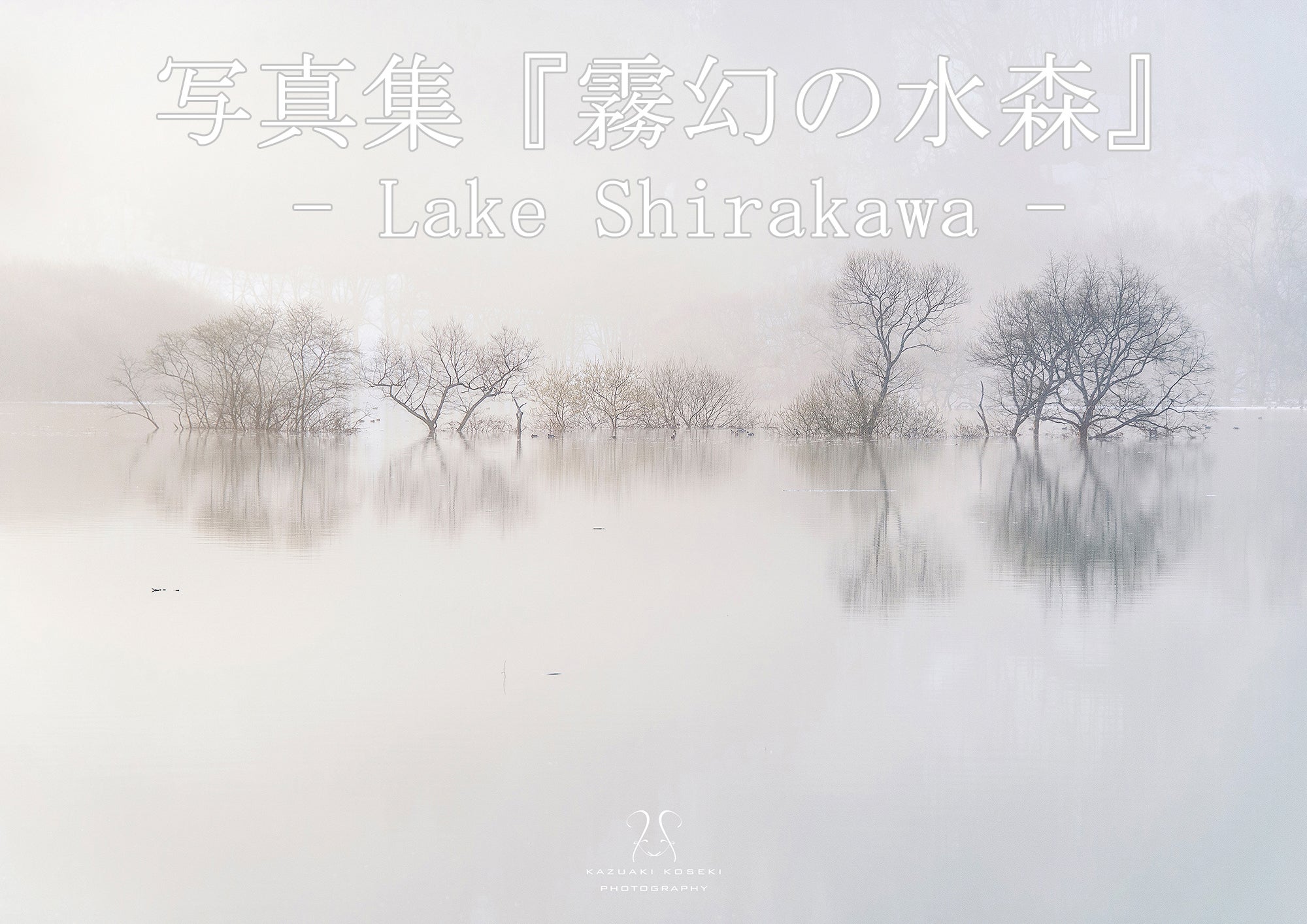 森の画廊「白　樹」 山形にある1ヶ月限定の幻想的な「白川湖の水没林」の写真集を冬青社