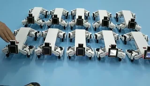 の動画サムネイル