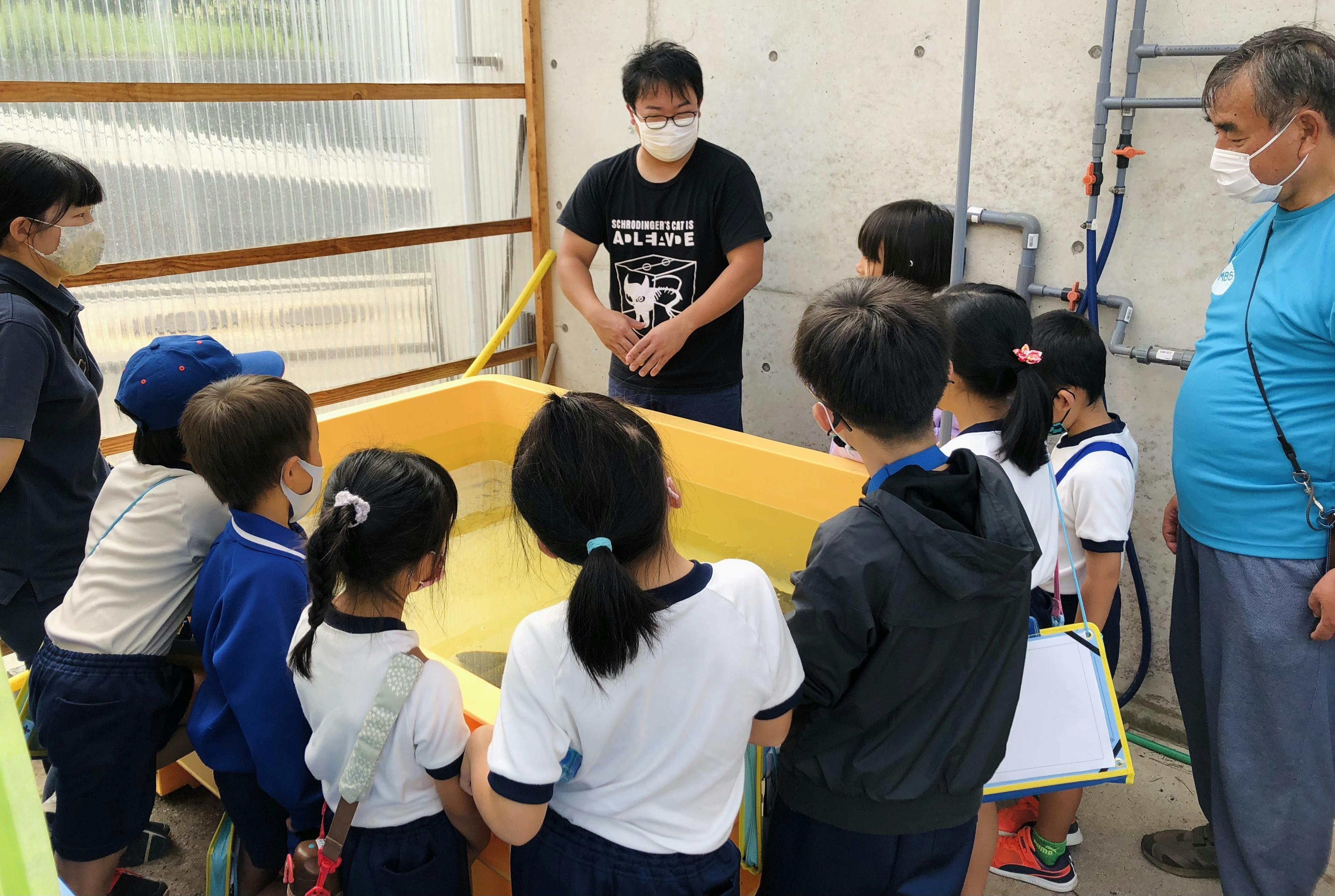 片足のウミガメ リブ の絵本を全国へ 隠岐の島のみんなの思いで海を守りたい Campfire キャンプファイヤー 片足のウミガメ リブ の絵本を全国へ 隠岐の島のみんなの思いで海を守りたい Campfire キャンプファイヤー