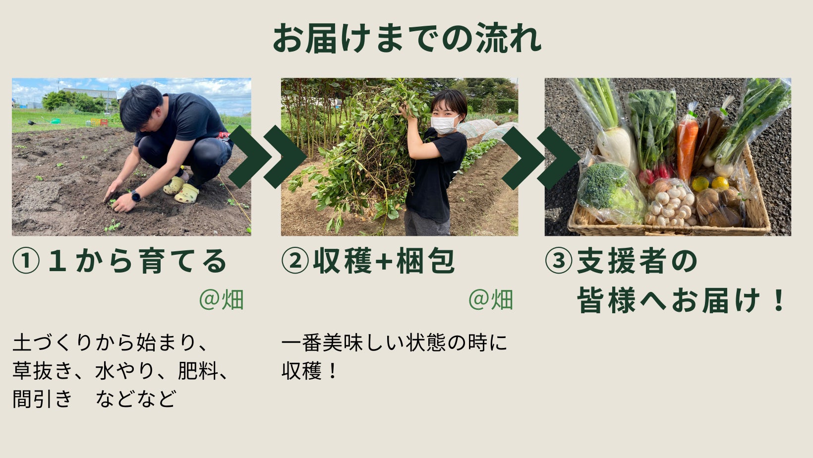 耕作放棄地 高校生 香取の野菜を全国にお届け Campfire キャンプファイヤー 耕作放棄地 高校生 香取の野菜を全国にお届け Campfire キャンプファイヤー