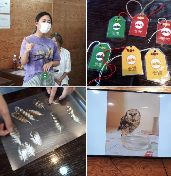 就労b 保護フクロウ 繋ぐカフェ 異業種で商品開発 福箱プロジェクト に挑戦 Campfire キャンプファイヤー 就労b 保護フクロウ 繋ぐカフェ 異業種で商品開発 福箱プロジェクト に挑戦 Campfire キャンプファイヤー