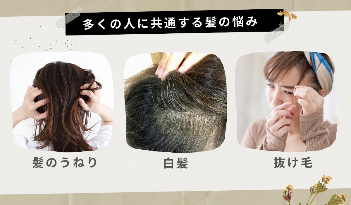 最終値下げ✨即日発送❗️ヘアリセッター - その他